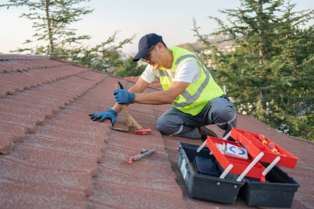 Best Storm Damage Roof Repair  in Orange Grove, TX