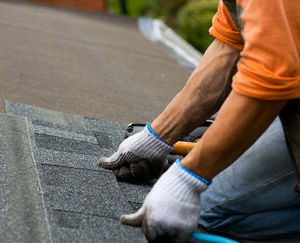 Best Local Roofing Companies  in Orange Grove, TX