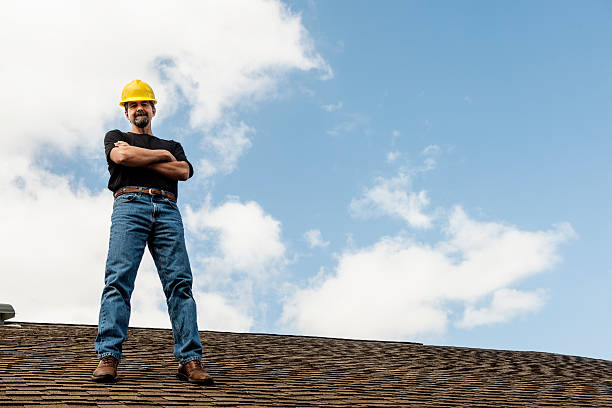 Best Gutter Installation and Roofing  in Orange Grove, TX
