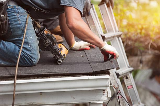 Best Metal Roofing Contractor  in Orange Grove, TX